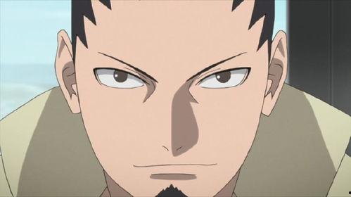 忍界鹿丸爆料视频大全集,揭秘忍者世界背后的秘密与真相  第2张