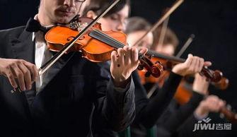 光遇最新小提琴爆料,神秘小提琴揭秘，探寻音乐与梦境的奇妙之旅  第1张